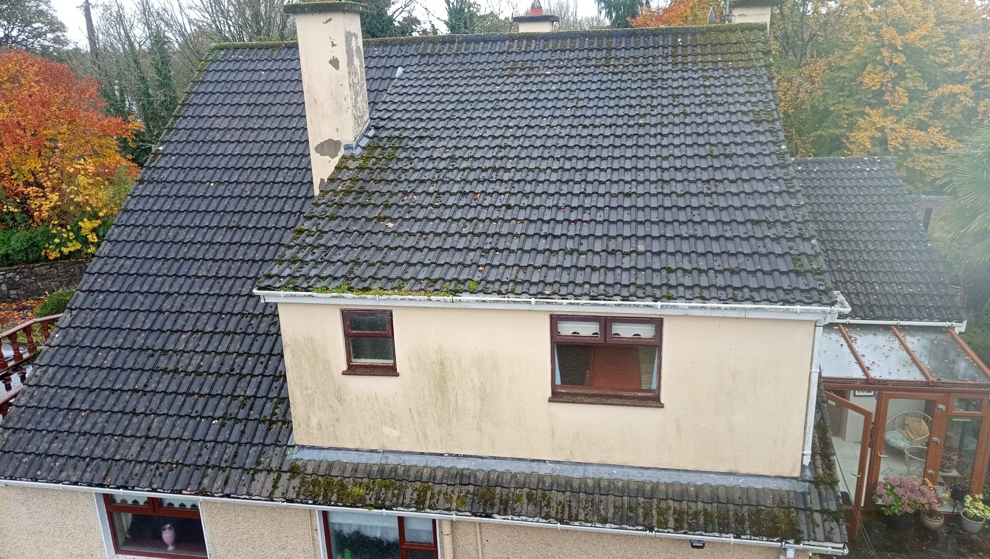 Roof with moss before cleaning Athlone
