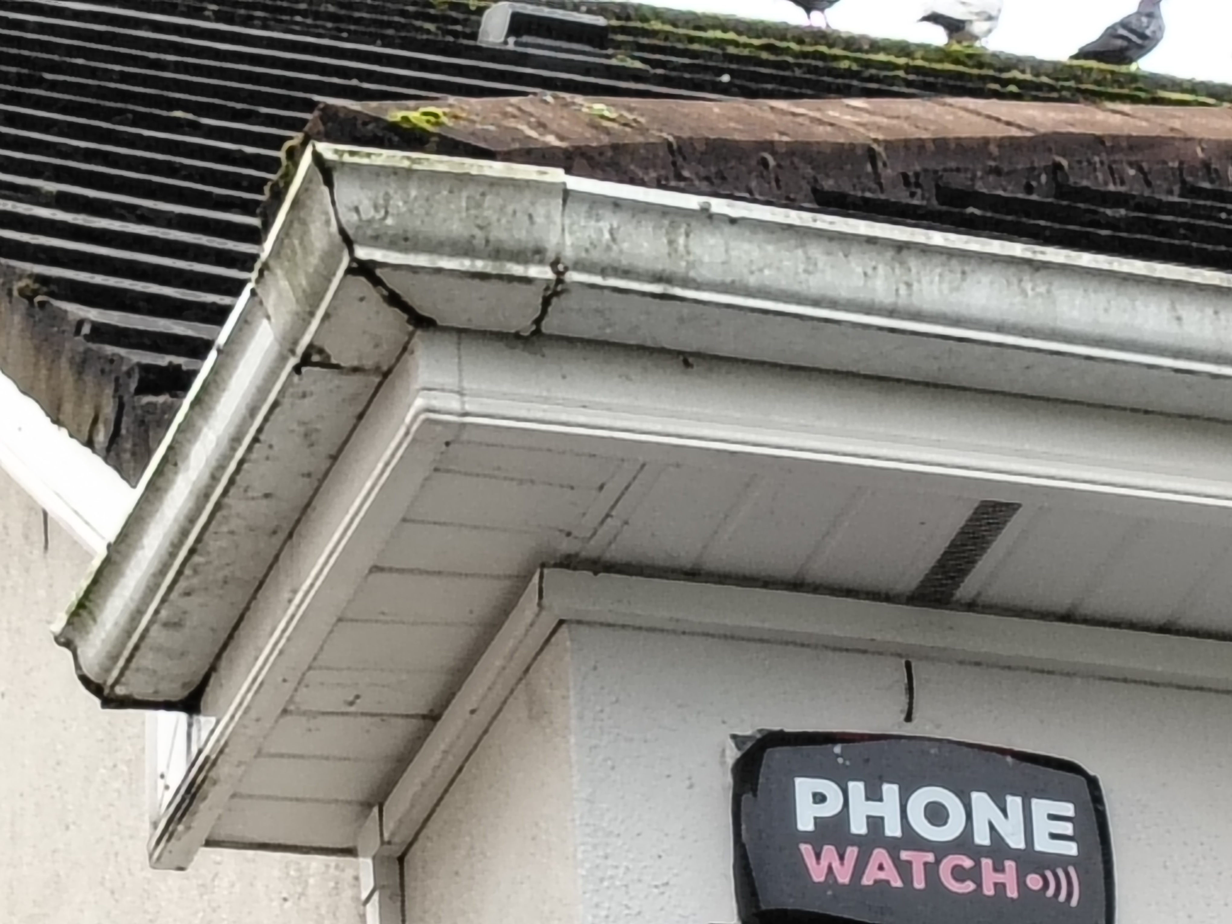 Gutters & Roofline project